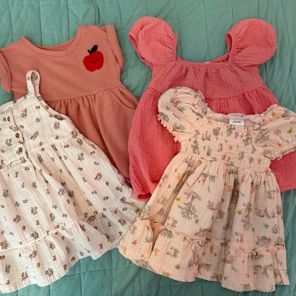18 Month Dress Bundle